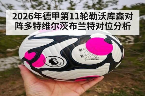 2026年德甲第11轮勒沃库森对阵多特维尔茨布兰特对位分析